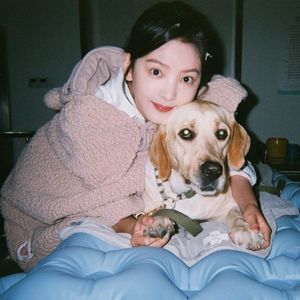 工棚区泻火X-88 AV
